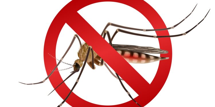 Como cuidar da pele pode ajudar a combater a Dengue